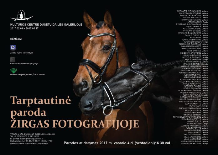 Zirgas fotografijoje plakatas 2017